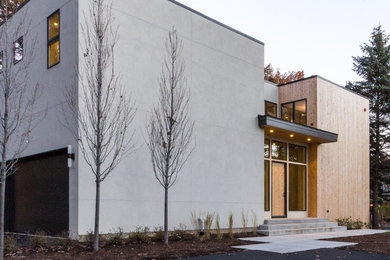 Ejemplo de fachada de casa gris actual grande de dos plantas con revestimientos combinados y tejado plano