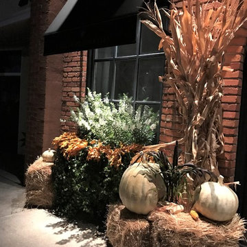 Fall and Harvest Decor