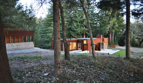 Houzz Tour: A Modern Getaway Nestled in the Trees