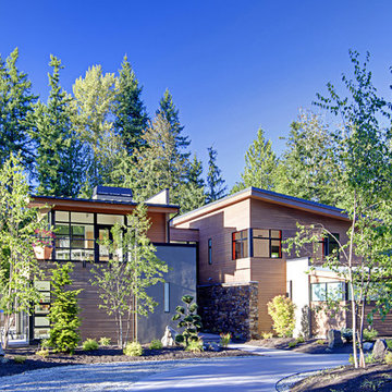 Forest House