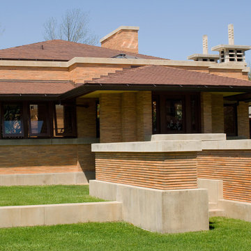 Frank Lloyd Wright's - The Darwin Martin Complex