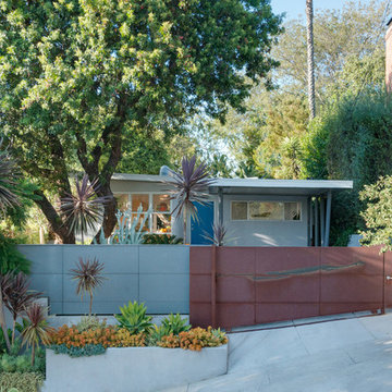 Franklin Hills Midcentury