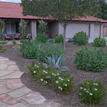Front Flagstone Walkway & Desert Planting