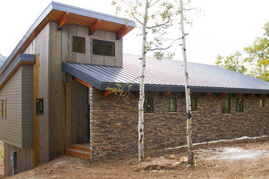 Aménagement d'une façade de maison verte éclectique à un étage et de taille moyenne avec un revêtement mixte et un toit en appentis.