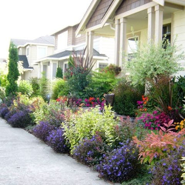 front yard in the state of Washington