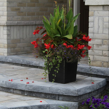 Front Yard Landscaping // Driveway // Steps & Gardens