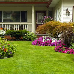 Ideal Lawn Solutions Fairhope Al Us 36532 Houzz