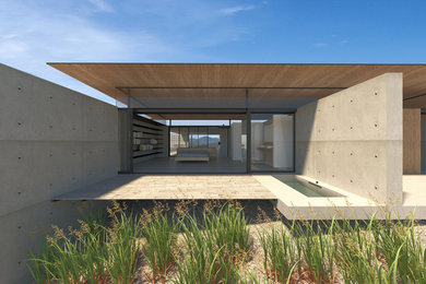 Diseño de fachada de casa gris contemporánea de tamaño medio de una planta con revestimiento de hormigón, tejado plano y tejado de metal