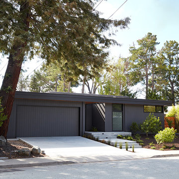 Glass Wall House
