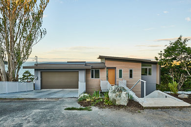 Mid-sized minimalist multicolored two-story wood exterior home photo in Other with a metal roof