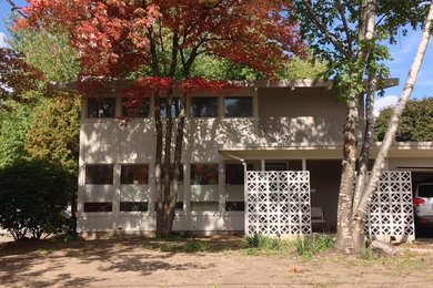 グランドラピッズにあるミッドセンチュリースタイルのおしゃれな家の外観の写真