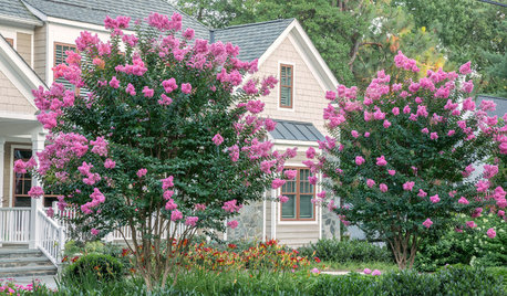 10 Flowering Trees Landscape Architects and Designers Love