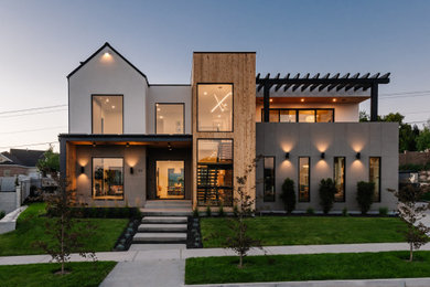 Exemple d'une façade de maison tendance.