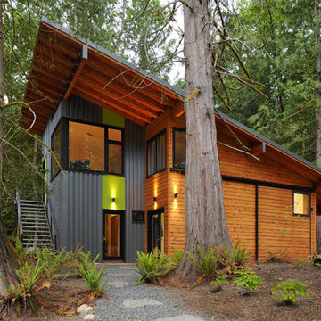 house in the woods