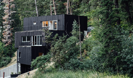 An Energy-Efficient Getaway on a Steep Site in Ski Country