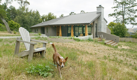 Houzz Tour: Modern Meets Rustic in Rural Marin County