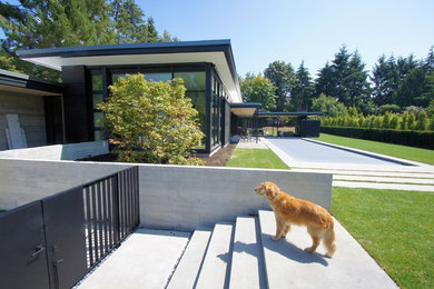 Пример оригинального дизайна: одноэтажный, деревянный, черный дом в стиле модернизм с плоской крышей