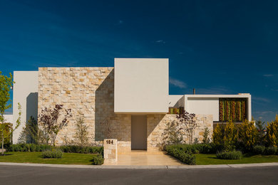 Cette image montre une grande façade de maison blanche design à un étage avec un revêtement mixte.