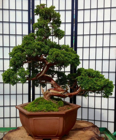 アジアン 家の外観 by Japan Bonsai Garden Art