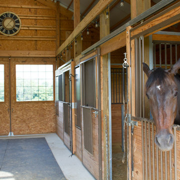Jeanne's Horse Barn