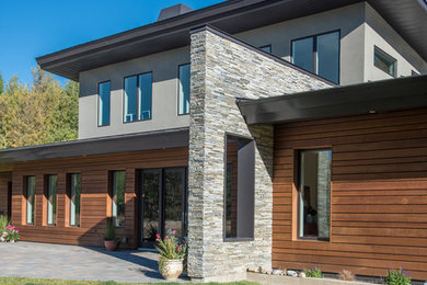 Diseño de fachada gris moderna de tamaño medio de dos plantas con revestimiento de estuco y tejado de un solo tendido
