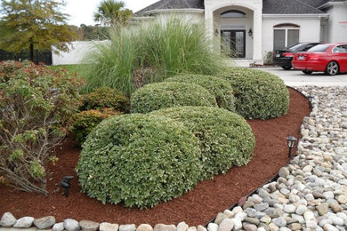 This is an example of a transitional landscaping in Tampa.