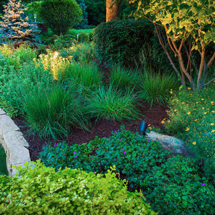 Traditional exterior home idea in Chicago