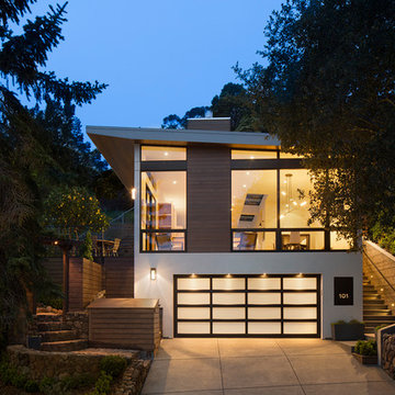 Larkspur Luxe