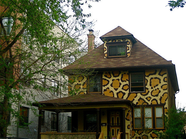 Eclectic Exterior leopard print house