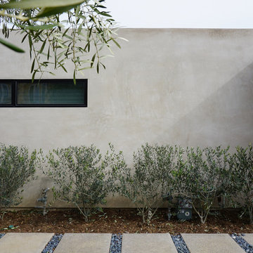 linear window at smooth stucco