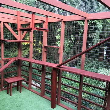 Los Angeles Catio