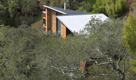 AIASF Marin Home Tour: The Lovell House