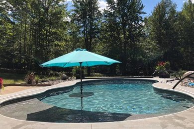 Dolphin Pool Spa Project Photos Reviews Harrison Mi Us Houzz
