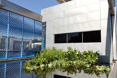 Diseño de fachada moderna de tamaño medio de una planta