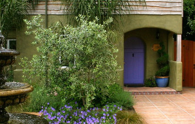 Colors and Plants That Go Best With a Bright Front Door