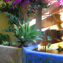 fountain