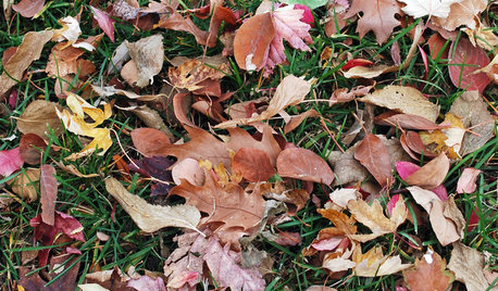 5 Ways to Put Autumn Leaves to Work in Your Garden