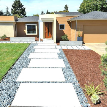 Mid-Century Modern on a Budget