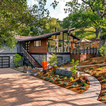 Mid Century Modern Property