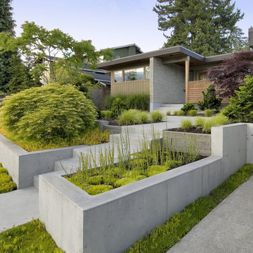 Mid-century Re-modern