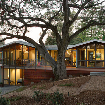 Mid-Century Remodel