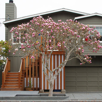 Mill Valley Transformation