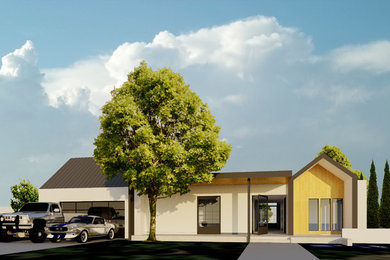 Modelo de fachada blanca minimalista grande de una planta con revestimientos combinados y tejado plano