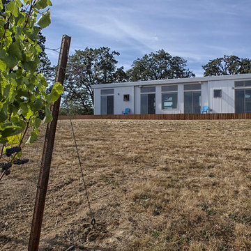 modern house in a vineyard