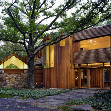 Modern "Tree House"