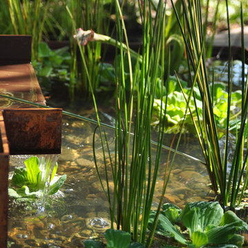 Modern Water Feature