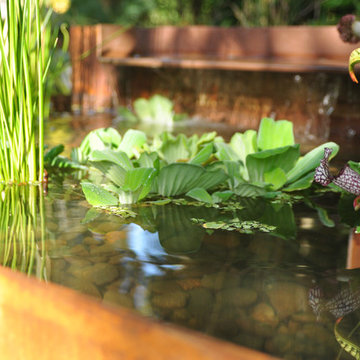 Modern Water Feature