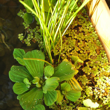 Modern Water Feature