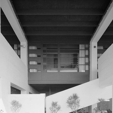 Must-Know Moderns