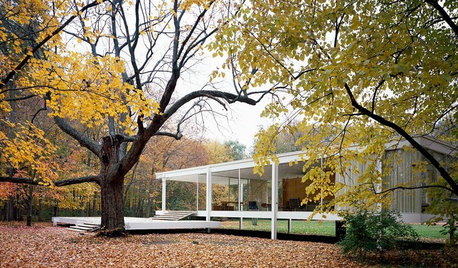 Architekturikonen: Das „Edith Farnsworth House“ von Mies van der Rohe